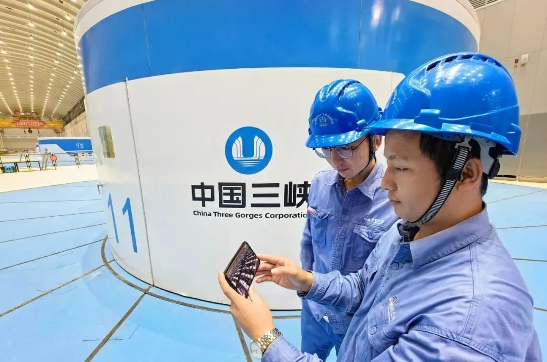 yth206游艇会(中国)官方网站